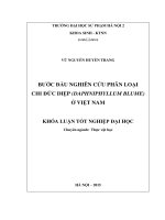 Bước đầu nghiên cứu phân loại chi đức diệp (daphniphyllum blume) ở việt nam