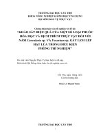 khảo sát hiệu quả của một số loại thuố hóa học và dịch trích thực vật nấm curvularia sp. v fusarium sp. gây lem lép hạt lú trong điều kiện phòng thí nghiệm