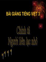 Bài giảng tiếng việt 3 tuần 14 bài chính tả   nghe   viết người liên lạc nhỏ, phân biệt ayây, ln, iiê 