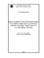 khảo nghiệm cơ bản bộ giốngdòng lúa chống chịu mặn tại vùng hạ huyện cần đước tỉnh long an vụ thu đông năm 2013
