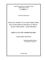 Bước đầu nghiên cứu sự phát triển giống đậu tương DT84 tại thị trấn tứ trưng   huyện vĩnh tường   tỉnh vĩnh phúc
