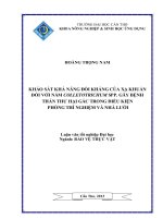 khảo sát khả năng đối kháng của xạ khuẩn đối với nấm colletotrichum spp. gây bệnh thán thư hại gấc trong điều kiện phõng thí nghiệm và nhà lưới