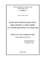 bước đầu đánh giá khả năng sinh trưởng và phát triển của 11 dòng lúa nhập nội