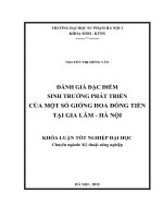 Đánh giá đặc điểm sinh trưởng phát triển của một số giống hoa đồng tiền tại gia lâm   hà nội