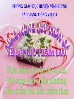 Bài giảng tiếng việt 3 tuần 13 bài luyện từ và câu   mở rộng vốn từ từ địa phương, dấu hỏi, dấu chấm than 