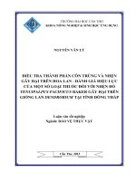 điều tra thành phần côn trùng và nhện gây hại trên hoa lan  đánh giá hiệu lực của một số loại thuốc đối với nhện đỏ tenuipalpus pacificus baker gây hại trên giống lan dendrobium tại tỉnh đồng tháp