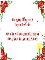 Bài giảng tiếng việt 3 tuần 14 bài luyện từ và câu   ôn tập về các từ chỉ đặc điểm, ôn tập câu, ai như thế nào 