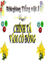 Bài giảng tiếng việt 3 tuần 13 bài chính tả   nghe   viết vàm cỏ đông, phân biệt ituyt, dgir, dấu hỏi dấu ngã 