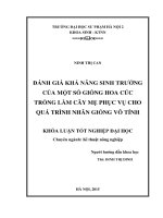 Đánh giá khả năng sinh trưởng của một số giống hoa cúc trồng làm cây mẹ phục vụ cho quá trình nhân giống vô tính