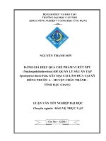 đánh giá hiệu quả chế phẩm vi rút npv (nucleopolyhedrovirus) để quản lý sâu ăn tạp spodoptera litura fab. gây hại cải làm dưa tại xã đông phước a – huyện châu thành  tỉnh hậu giang