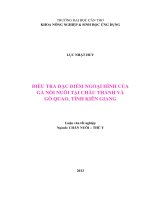 điều tra đặc điểm ngoại hình của gà nòi nuôi tại châu thành và gò quao, tỉnh kiên giang