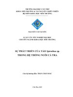 sự phát triển của tảo spirulina sp. trong hệ thống nuôi cá tra