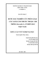 Bước đầu nghiên cứu phân loại các loài làm thuốc thuộc chi trôm (sterculia l ) ở việt nam