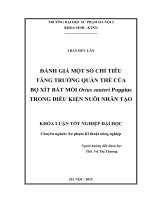 Đánh giá một số chỉ tiêu tăng trưởng quần thể của bọ xít bắt mồi orius sauteri poppius trong điều kiện nuôi nhân tạo