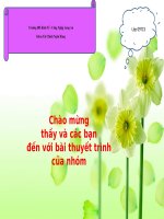 Thuyết trình 10