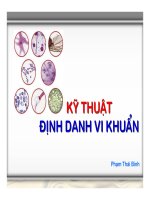 Kỹ Thuật Định Danh Vi Khuẩn