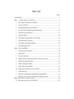 nghiên cứu ứng dụng zeolit fe ZSM 5 (với tỷ lệ sife khác nhau) và xem xét ảnh hưởng của thời gian tổng hợp đến cấu trúc và hoạt tính xúc tác fe  ZSM  5 trong phản ứng oxy hoá phenol 