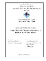 phân lập vi khuẩn nội sinh trong cây diếp cá (houttuynia cordata t.) trồng ở thành phố cần thơ