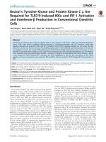 Brutons tyrosine kinase and protein kinase c µ are required for TLR7 9 induced IKKα and IRF 1 activation and interferon β production in conventional dendritic cells 