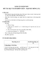 Giáo án đề tài bật tách khép chân – đập bắt bóng (chương trình đổi mới) 