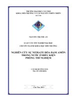 nghiên cứu sự nitrate hóa đạm amôn trong nước ở điều kiện phõng thí nghiệm
