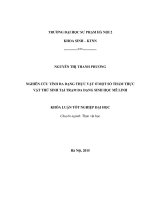 Nghiên cứu tính đa dạng thực vật ở một số thảm thực vật thứ sinh tại trạm đa dạng sinh học mê linh