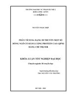 Phân tích đa dạng di truyền một số dòng ngô có hàm lượng protein cao (QPM) bằng chỉ thị SSR