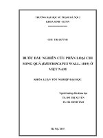 Bước đầu nghiên cứu phân loại chi song quả (didymocapus wall  1819) ở việt nam