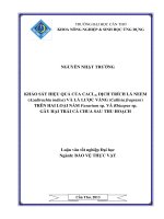 khảo sát hiệu quả của cacl2, dịch trích lá neemb (azadirachta indica) và lá lược vàng (callisia fragrans) trên hai loại nấm fusarium sp. và rhizopus sp. gây hại trái cà chua sau thu hoạch