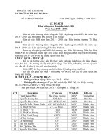 kế hoạch hoạt động của Ban phụ trách đội TNTP Hồ Chí Minh