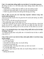 30 câu hỏi ôn tập thông tin số