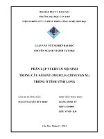 phân lập vi khuẩn nội sinh trong cây sài đất (wedelia chinensis m.) trồng ở tỉnh vĩnh long