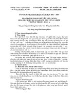 SKKN tổng phụ trách  giao duc ngoai gio len lop giáo dục đạo đức đội viên cá biệt