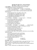 Đề thi HKII lớp 8 môn Địa Lý