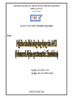 Nghiên cứu khả năng ứng dụng của aasi (advanced alpha spectrometric simulation)