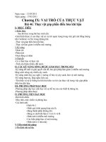 Bài 46: THỰC VẬT GÓP PHẦN ĐIỀU HÒA KHÍ HẬU