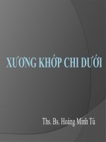 Bài giảng xương khớp chi dưới   ths BS  hoàng minh tú