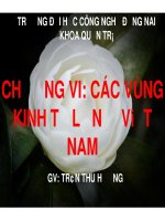 các vùng kinh tế lớn ở việt nam