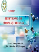 Một số bệnh nấm thường gặp ở cá và các bệnh nấm chủ yếu ở giáp xác