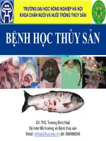 bài giảng đại cương về thủy sản