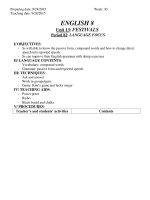 Unit 13 Festivals Language focus (English 8)