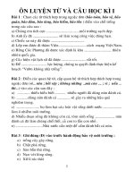 ÔN LUYỆN TỪ VÀ CÂU LỚP 5