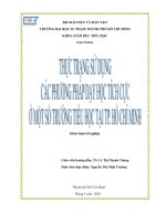 Thực trạng sử dụng các phương pháp dạy học tích cực ở một số trường tiểu học tại thành phố hồ chí minh