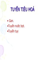 Bài giảng mô học gan   BS  trần kim thương