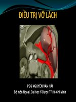 Bài giảng điều trị vỡ lách   BS  nguyễn văn hải