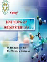 Một số bệnh thường gặp ở thủy sản