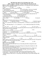 Đề thi HKII lớp 8 môn Vật Lý