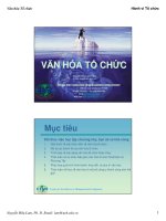 Văn Hóa Tổ chức