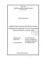 Nghiên cứu khả năng bất động tế bào nấm men saccharomyces cerevisae của gel calci   alginat