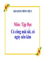 Bài giảng tập đọc có công mài sắt có ngày nên kim tiếng việt 2 